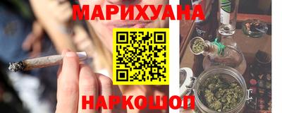 крисы Славгород