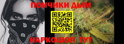 крисы Славгород